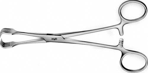 BRAUN Tissue Grasping Forceps, straight, 155 mm (6 1/8"), 4 x 4 prongs, box lock, with ratchet, width: 10 mm, non-sterile, reusable